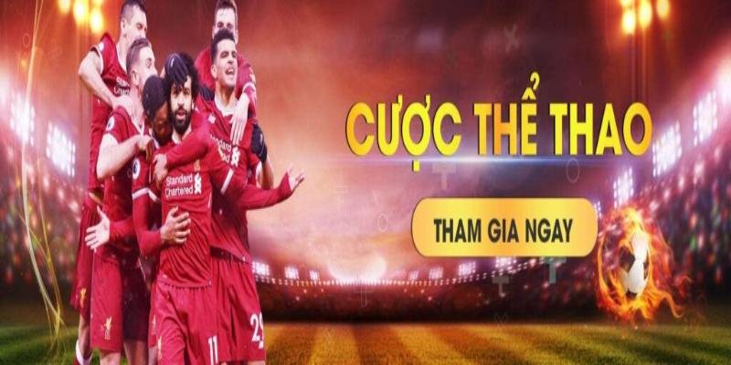 Khám phá các bộ môn cá cược thể thao 8XBET hấp dẫn