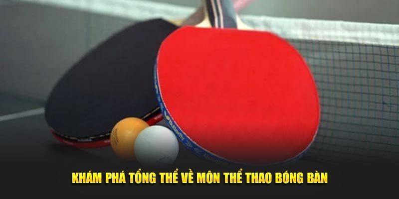 Khám phá tổng thể về môn thể thao bóng bàn